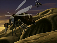 Buzzard Wasp picture
