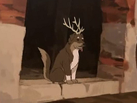 Deer Dog picture
