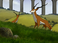 Fox Antelope picture